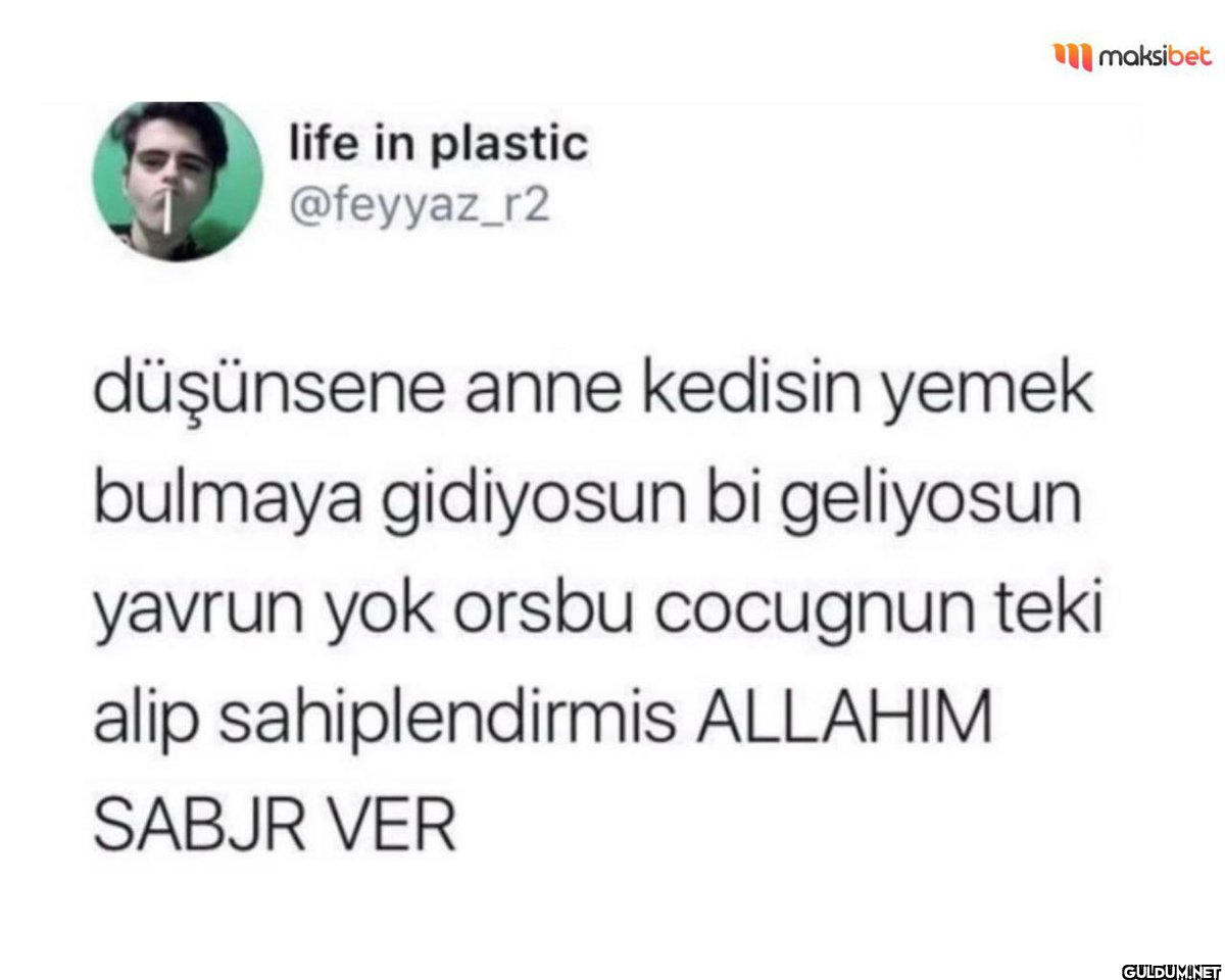 life in plastic @feyyaz_r2...