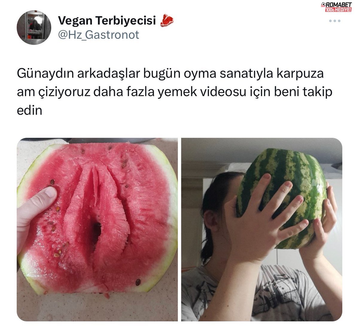 Vegan Terbiyecisi...