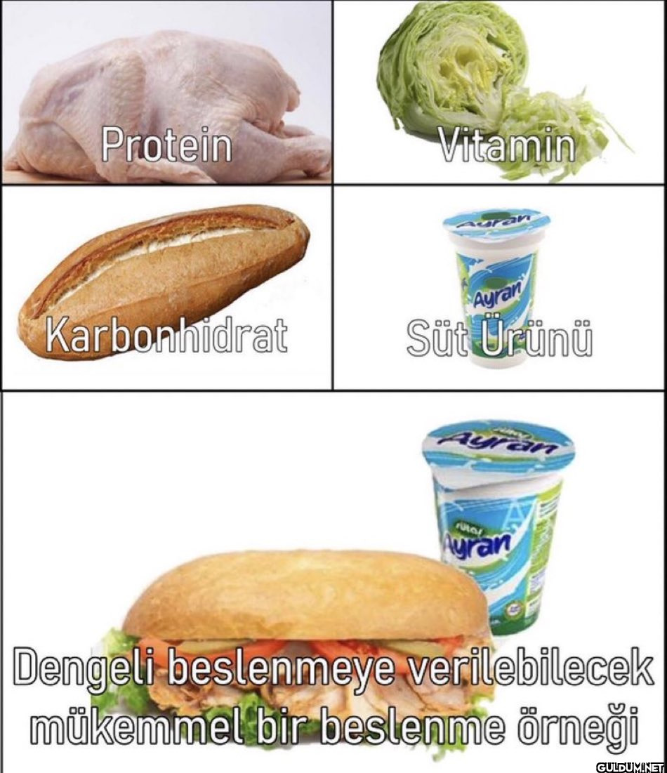 Protein Karbonhidrat...
