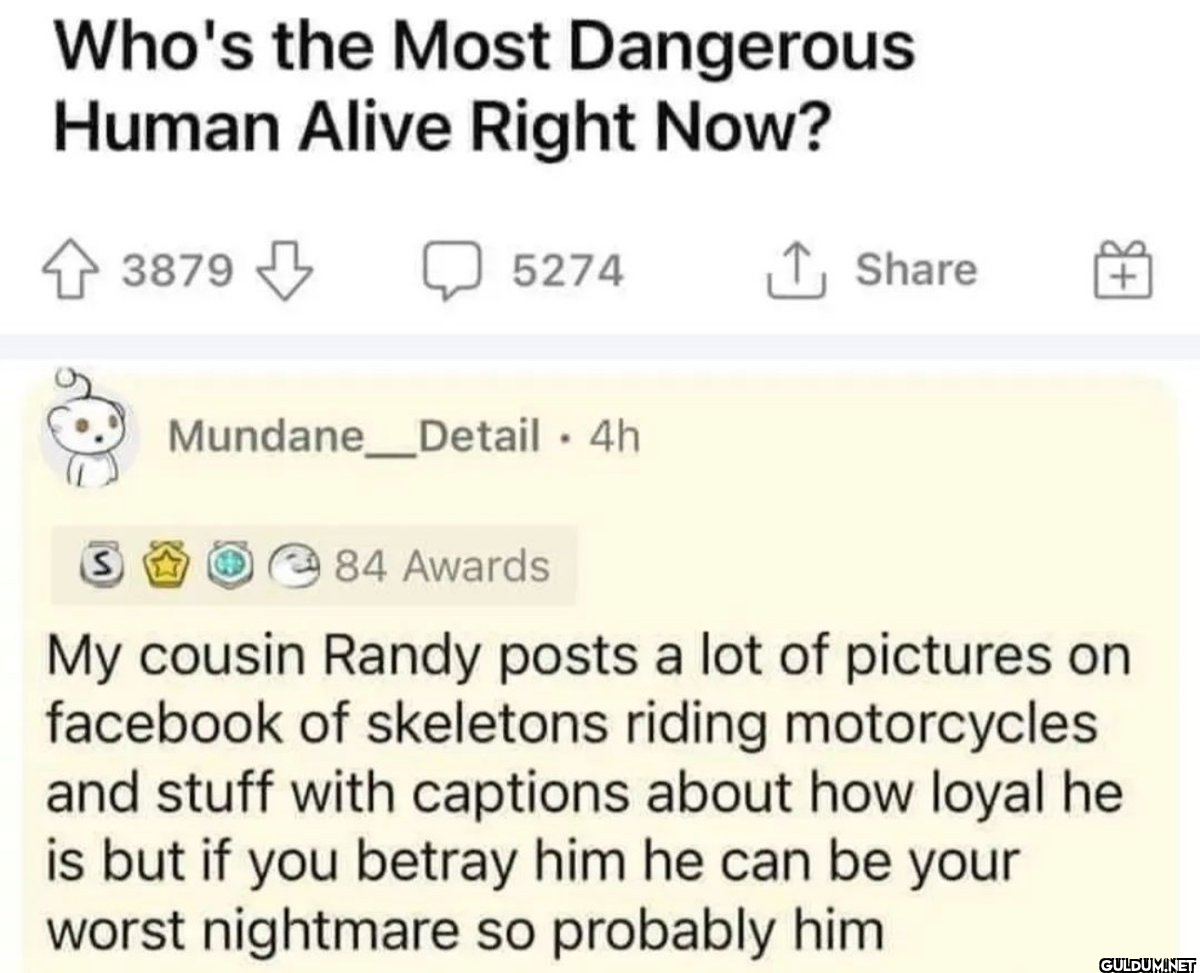 Who's the Most Dangerous...