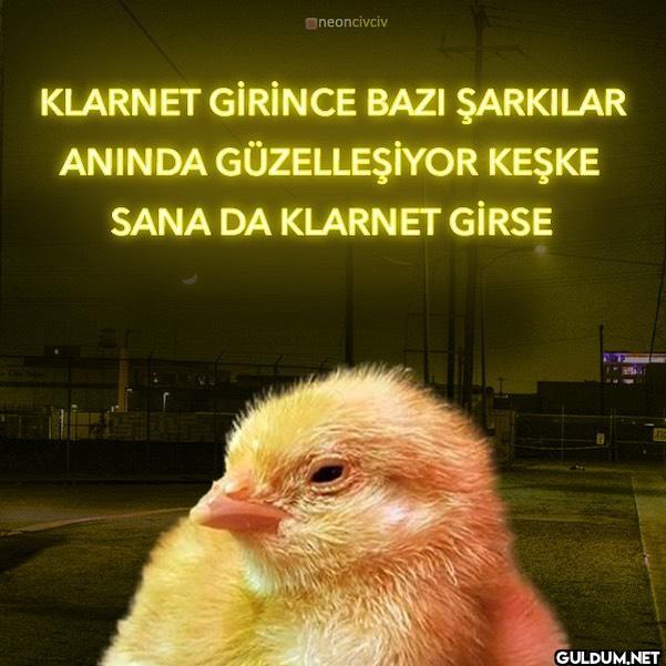 Bi ihtimal belki 🐥  ...