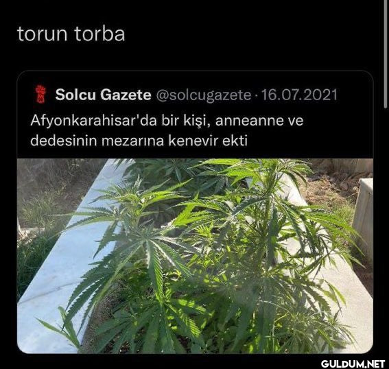 torun torba Solcu Gazete...