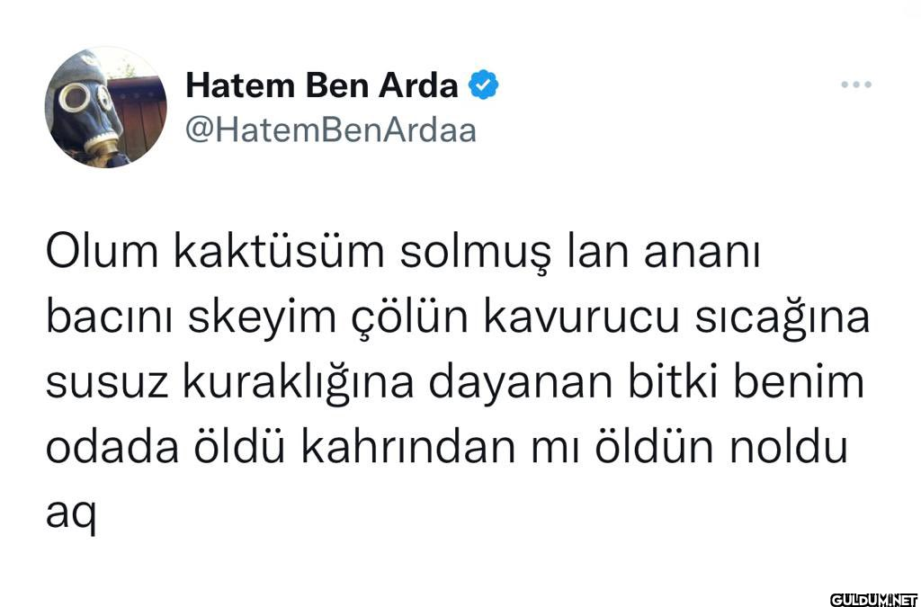 Hatem Ben Arda...