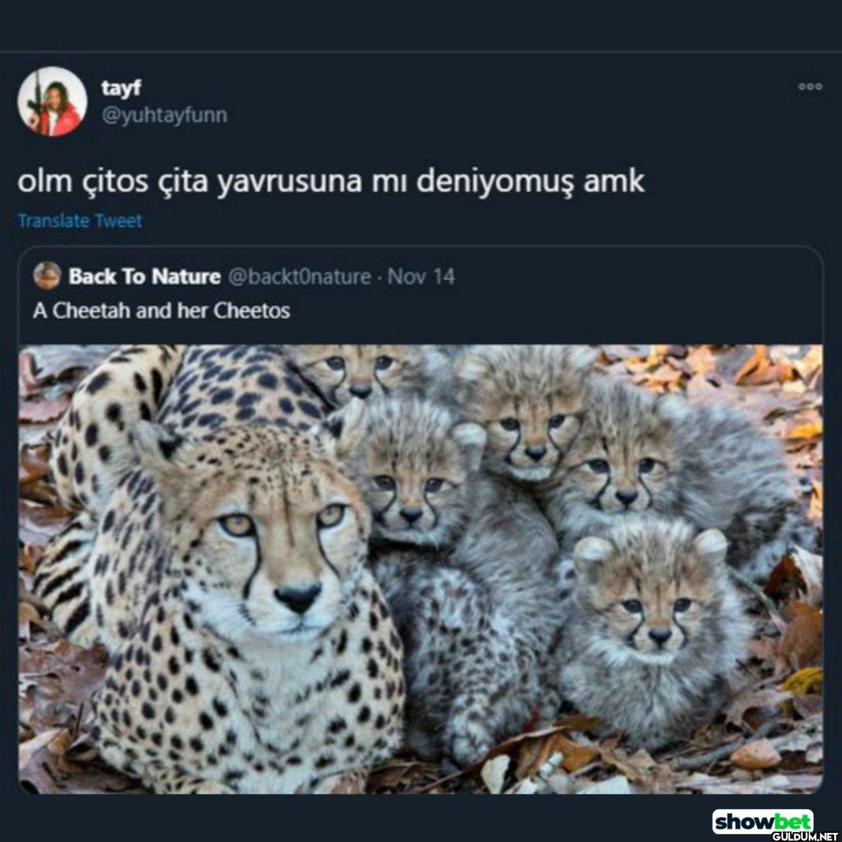 tayf @yuhtayfunn olm çitos...