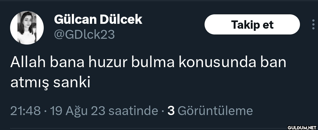Gülcan Dülcek @GDlck23...