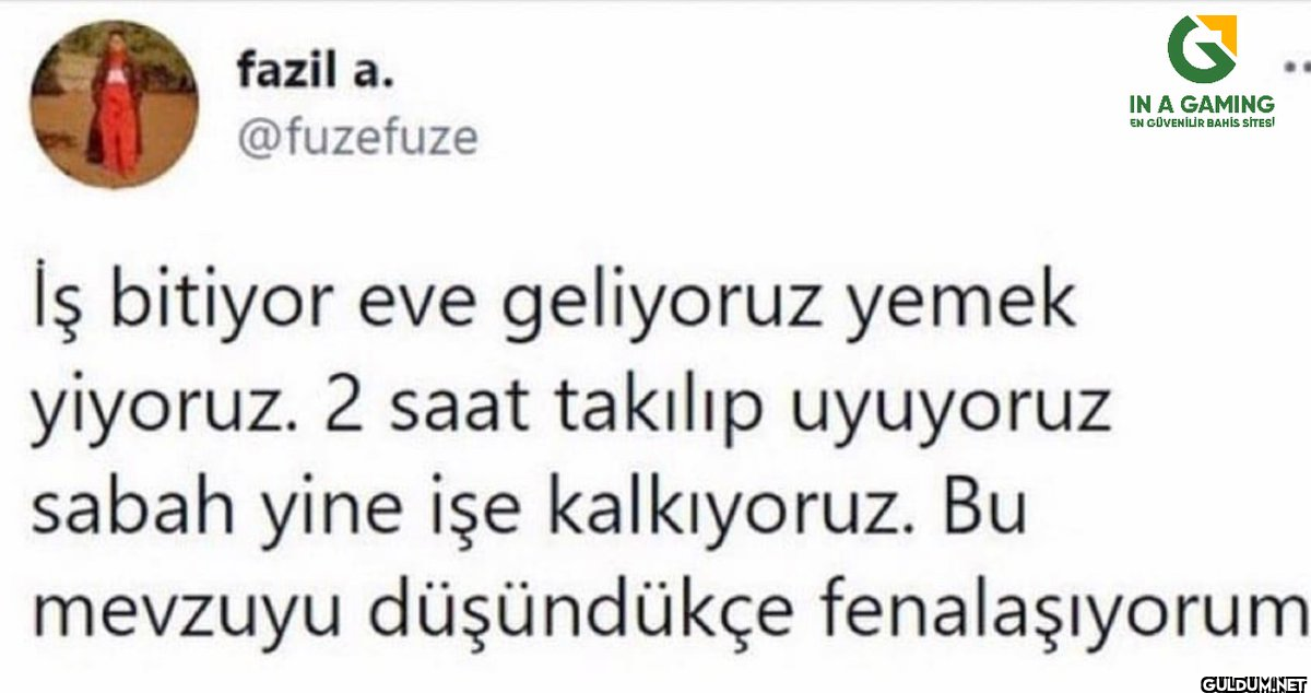 fazil a. @fuzefuze IN A...