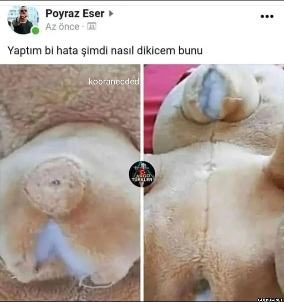 lan naptin   Poyraz Eser ‣...