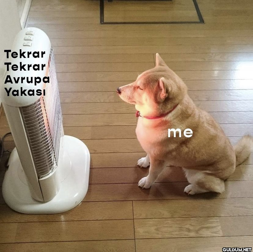 Tekrar Tekrar Avrupa...