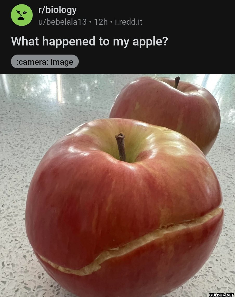 r/biology u/bebelala13 •...