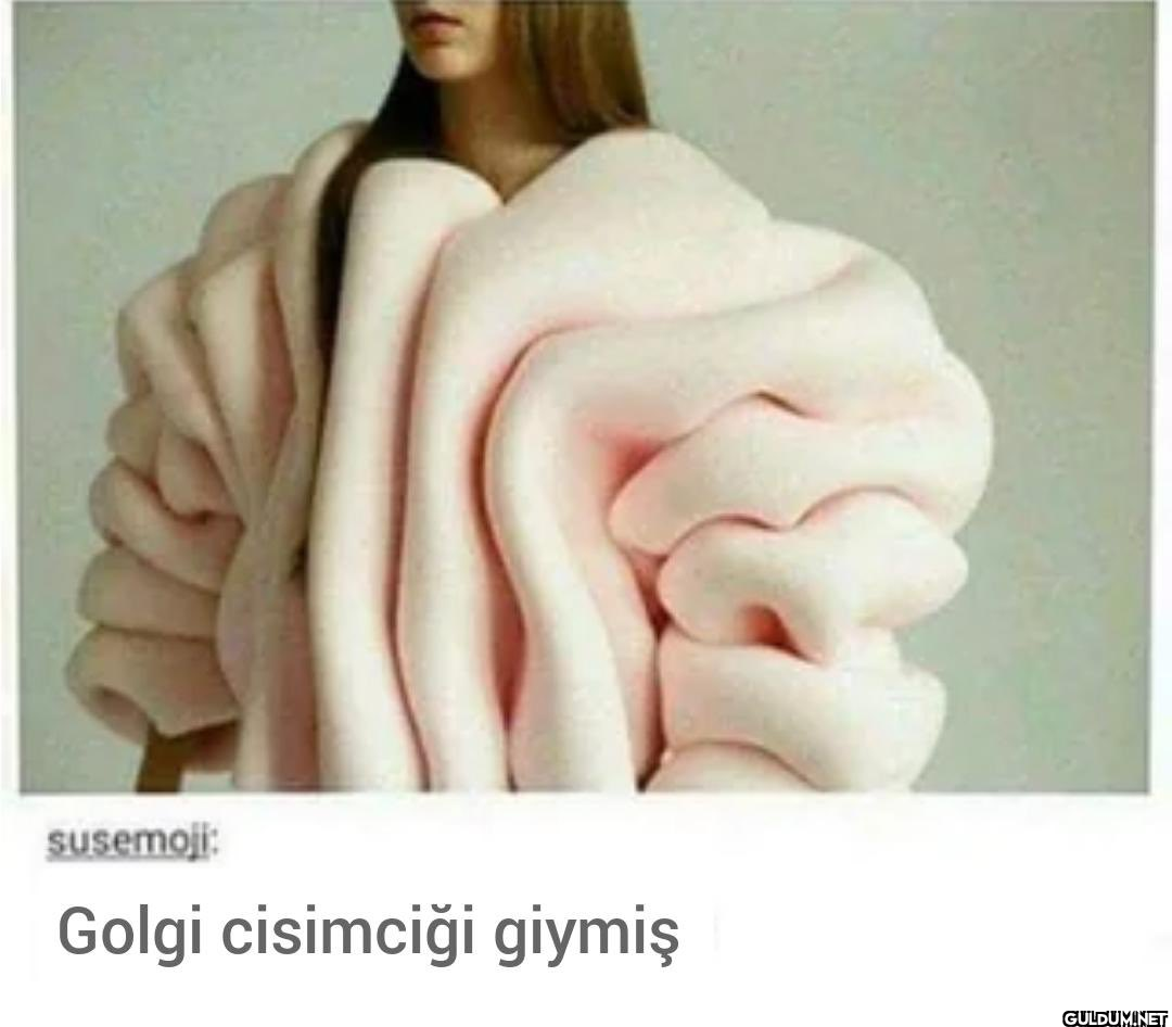 susemoji: Golgi cisimciği...