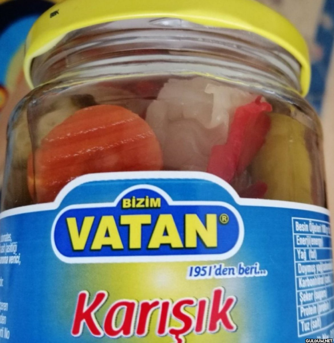 306-) Bizim vatan 1951'den...