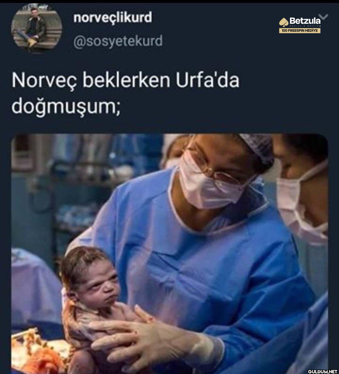 norveçlikurd @sosyetekurd...