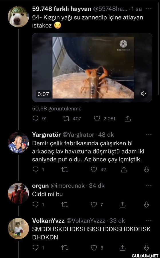 FollowMizah desen...