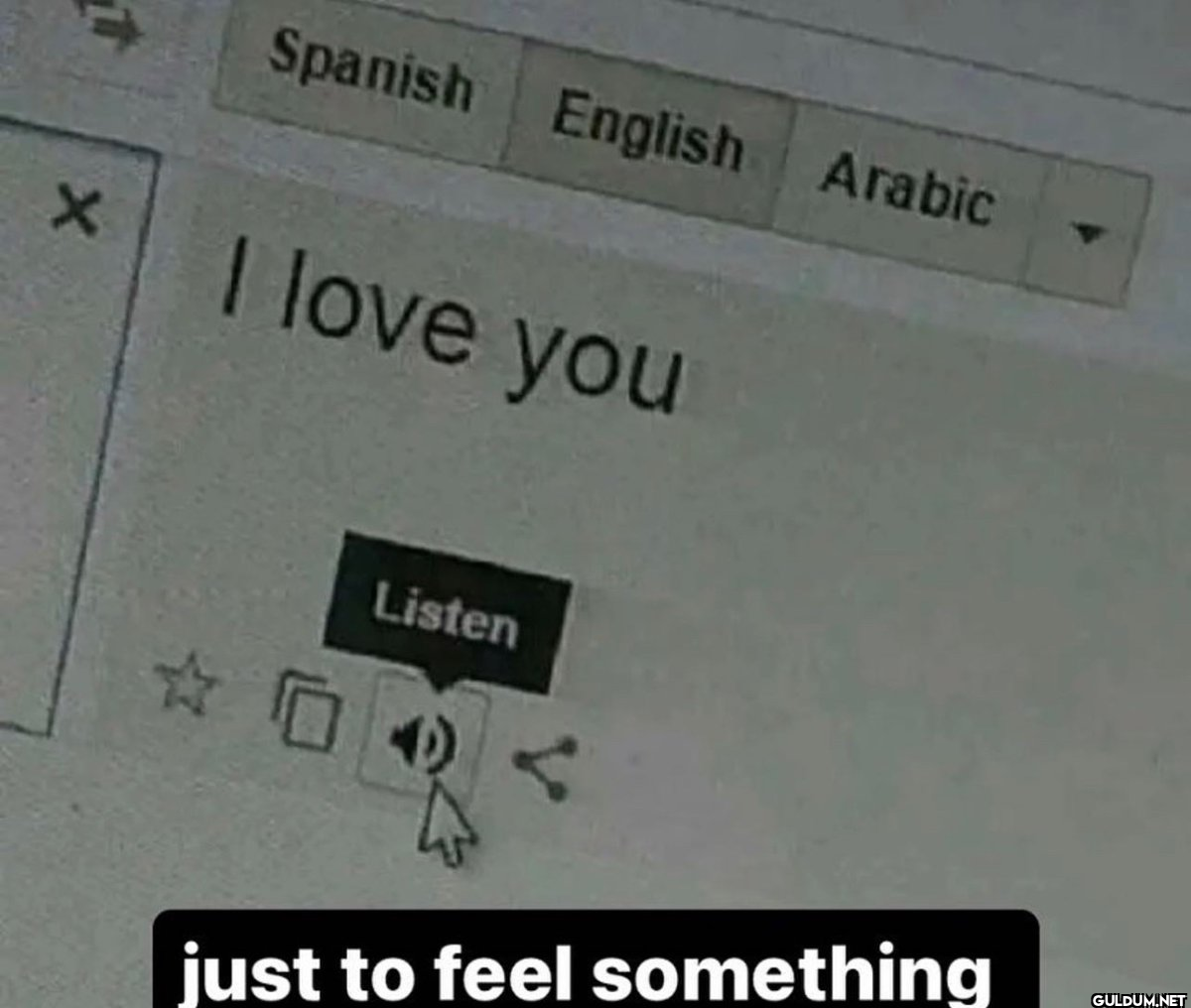 t X Spanish English Arabic...