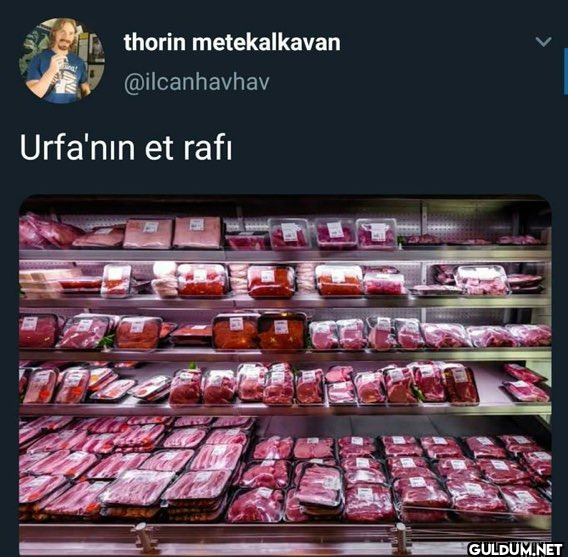 thorin metekalkavan...