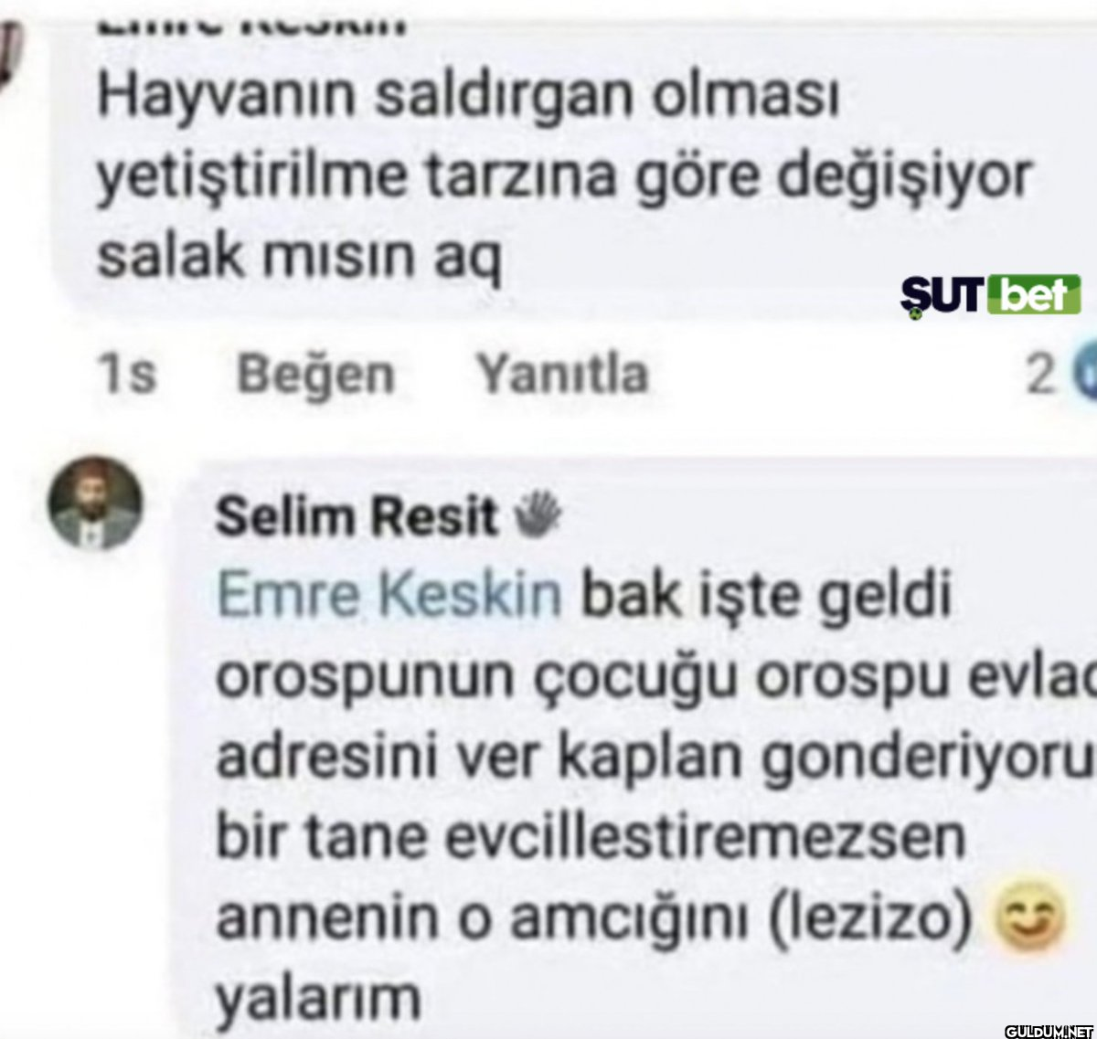 WIRD AU Hayvanın saldırgan...