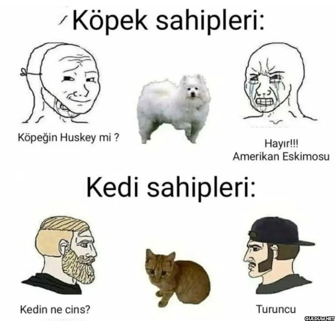 239-) köpek sahipleri /...