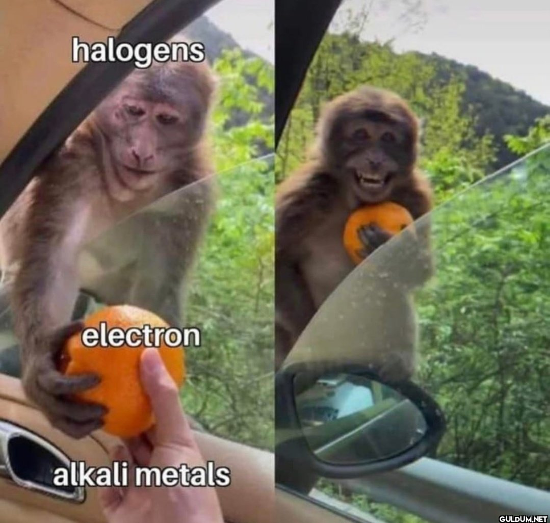 halogens electron alkali...