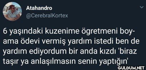 Atahandro @CerebralKortex...
