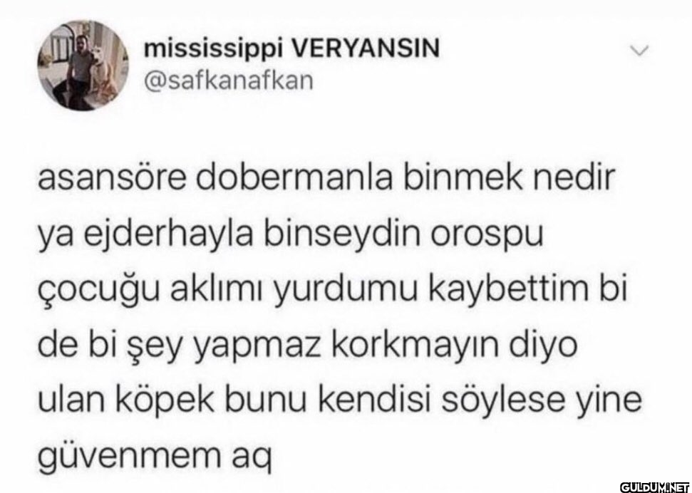 mississippi VERYANSIN...