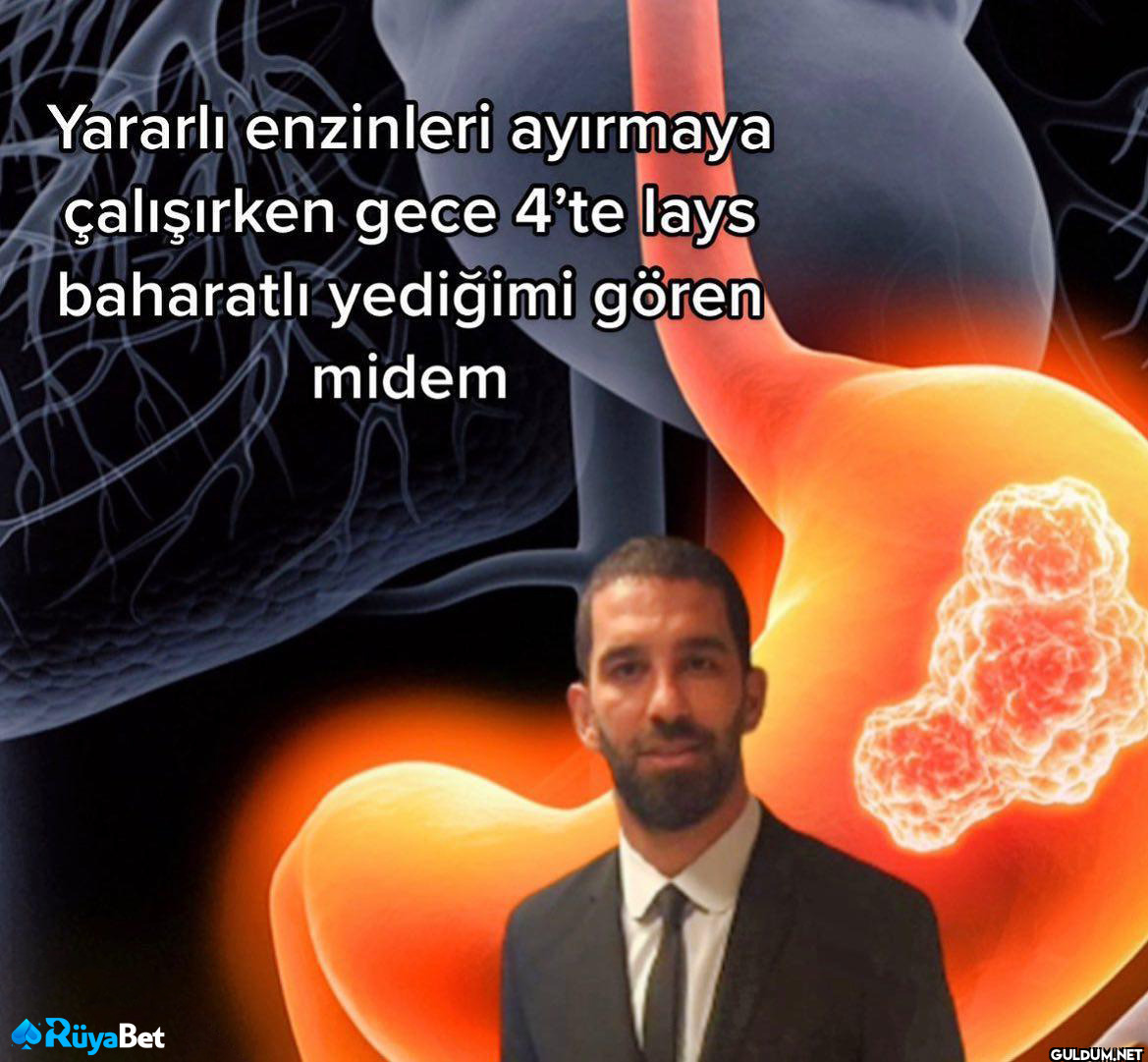 Yararlı enzinleri ayırmaya...