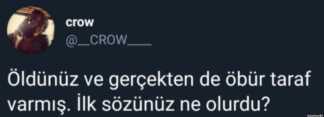 menşınlayalım   crow...