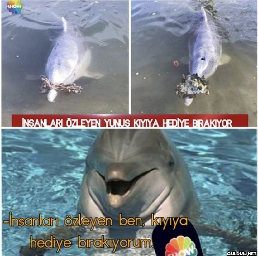 SHOW INSANLARI ÖZLEYEN...
