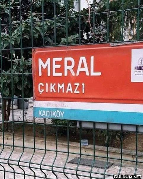 Tatsız Bir Fotoğraf on...