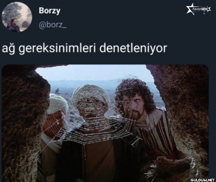 Borzy @borz_ ağ...