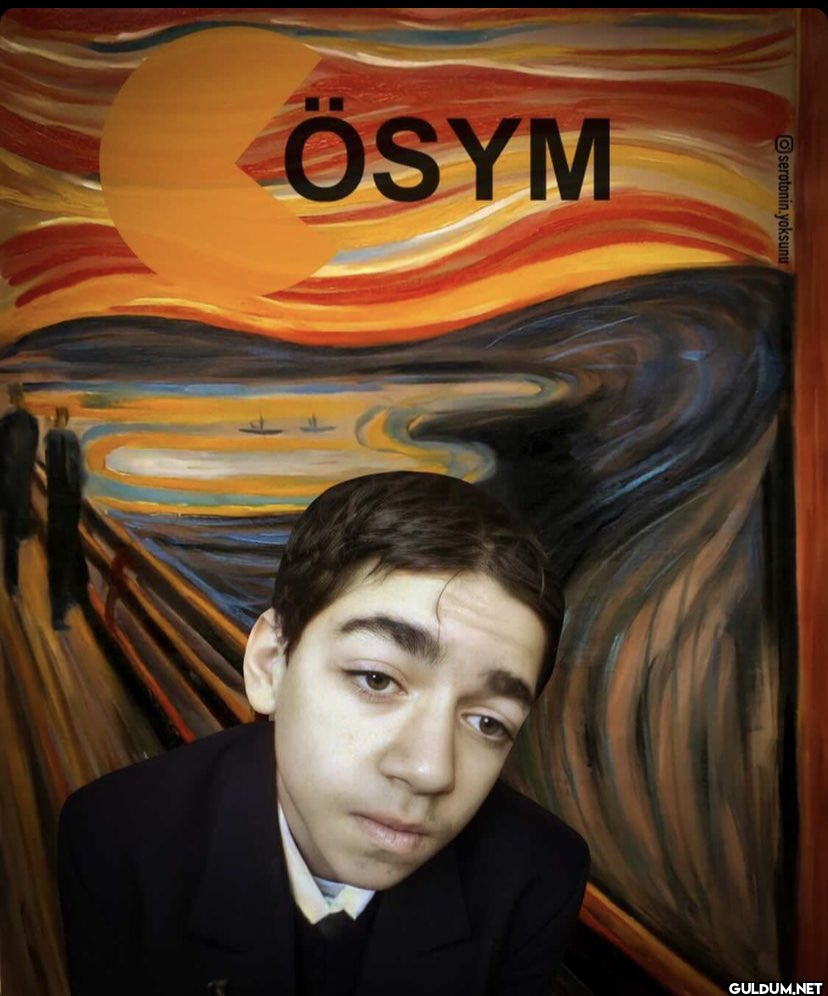 ÖSYM serotonin.yoksunu   Kaynak