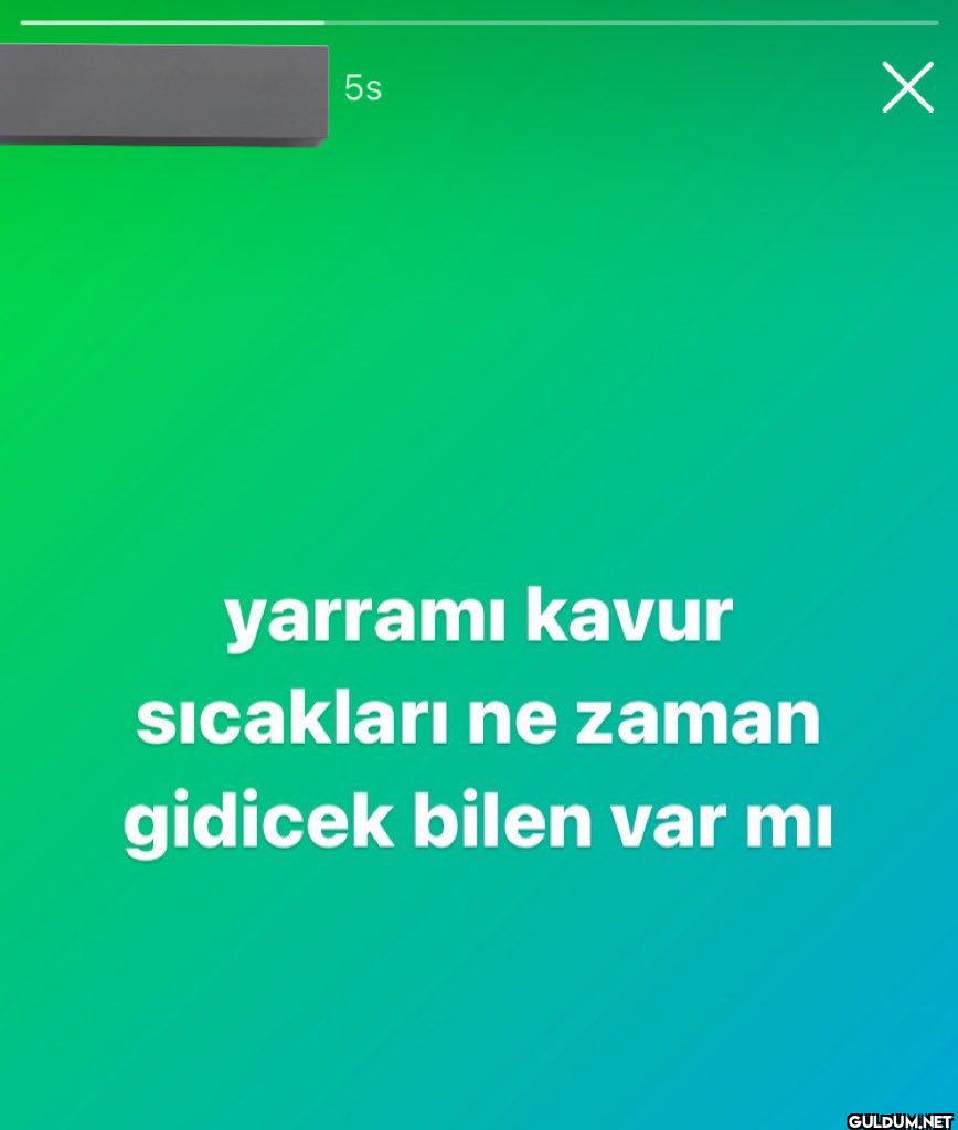 5s yarramı kavur sıcakları...