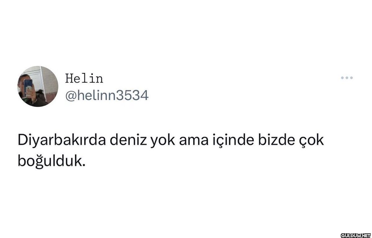 Helin @helinn3534...