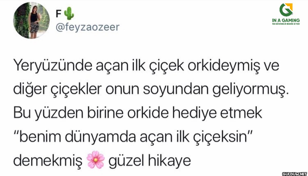 F @feyzaozeer IN A GAMING...
