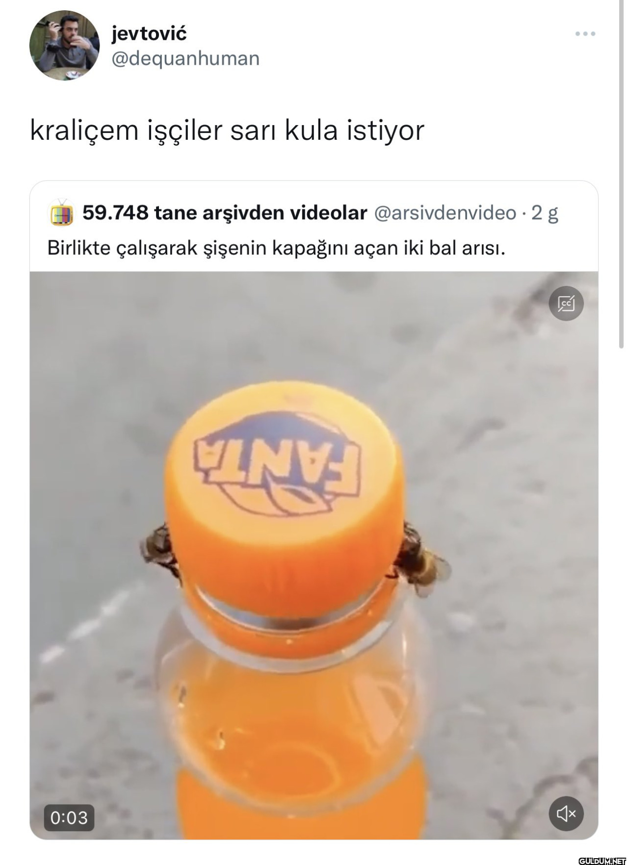 jevtović @dequanhuman...