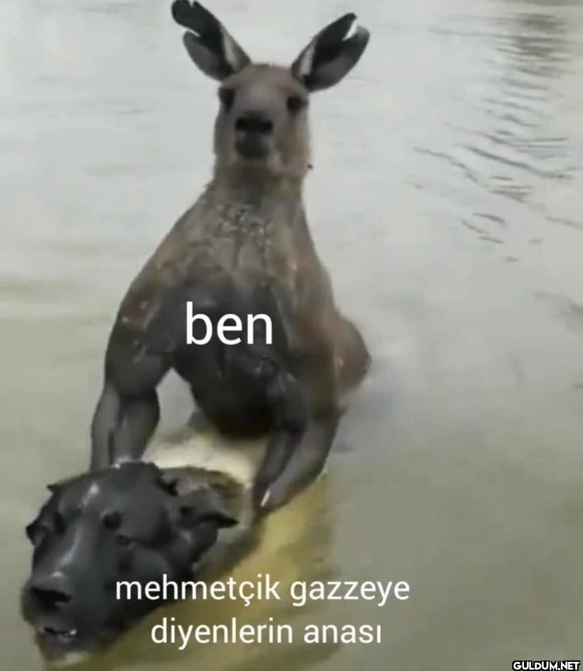 ben mehmetçik gazzeye...