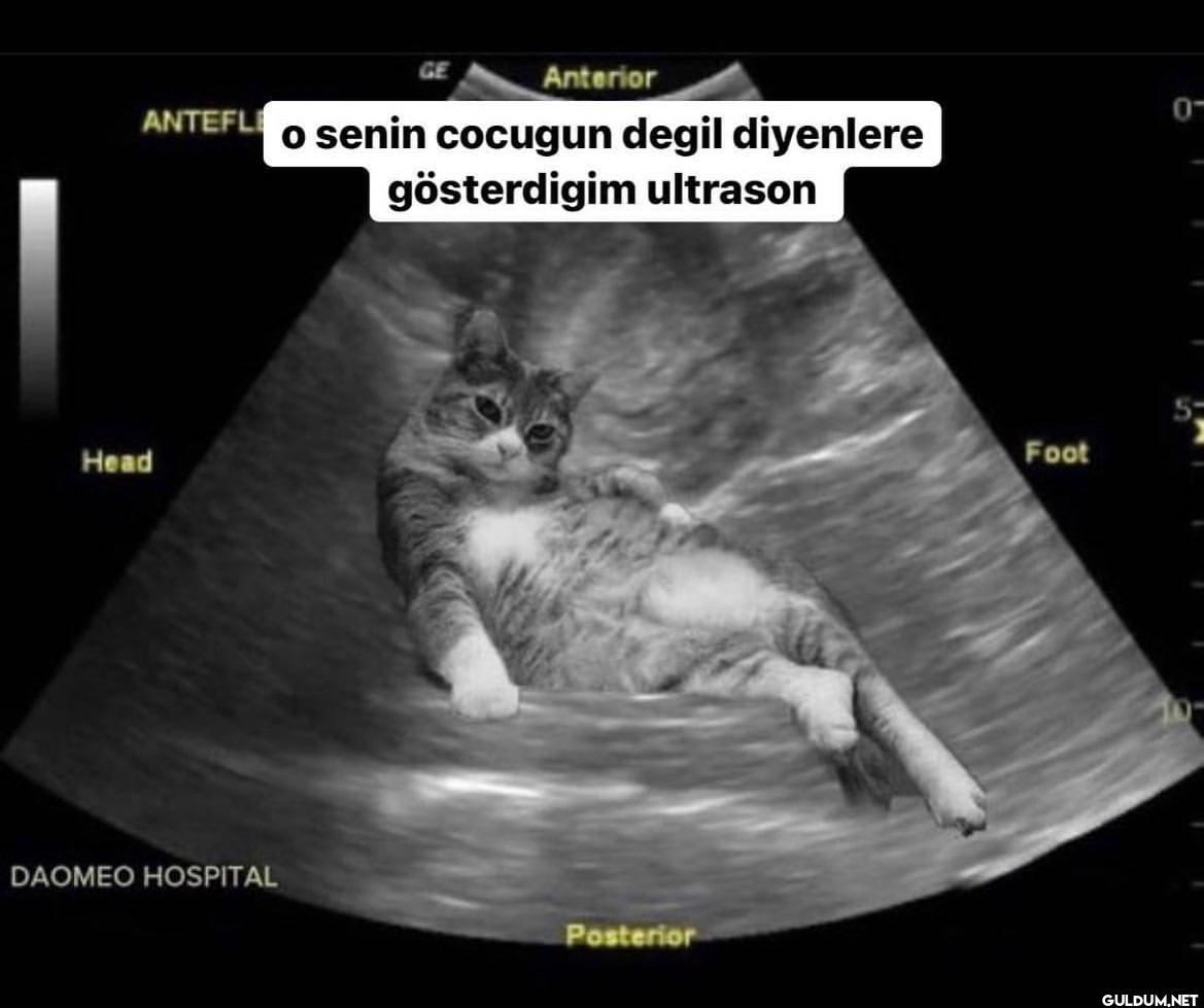 Tatsız Bir Fotoğraf on...