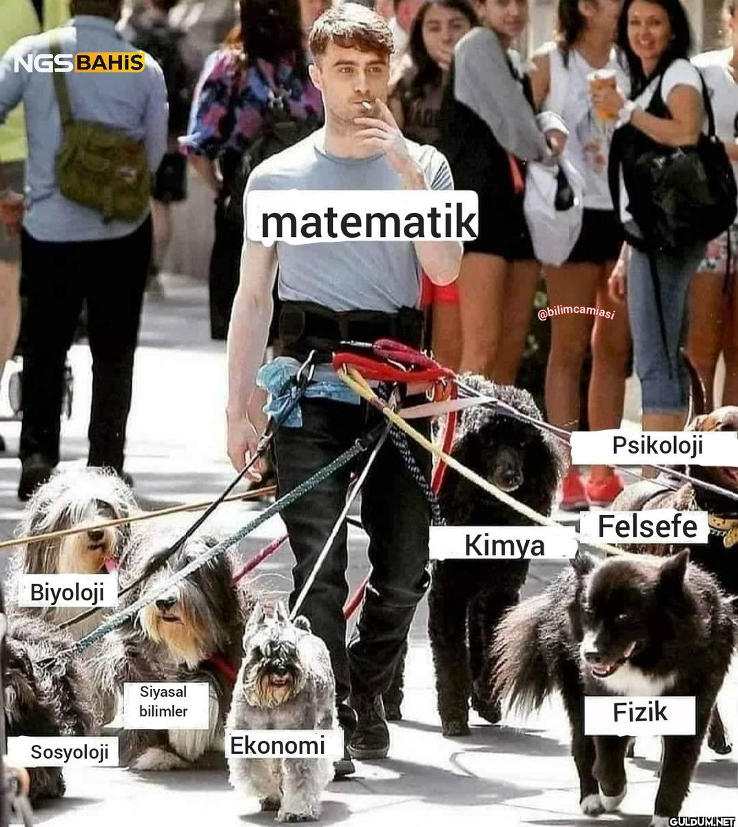 NGSBAHIS Biyoloji...