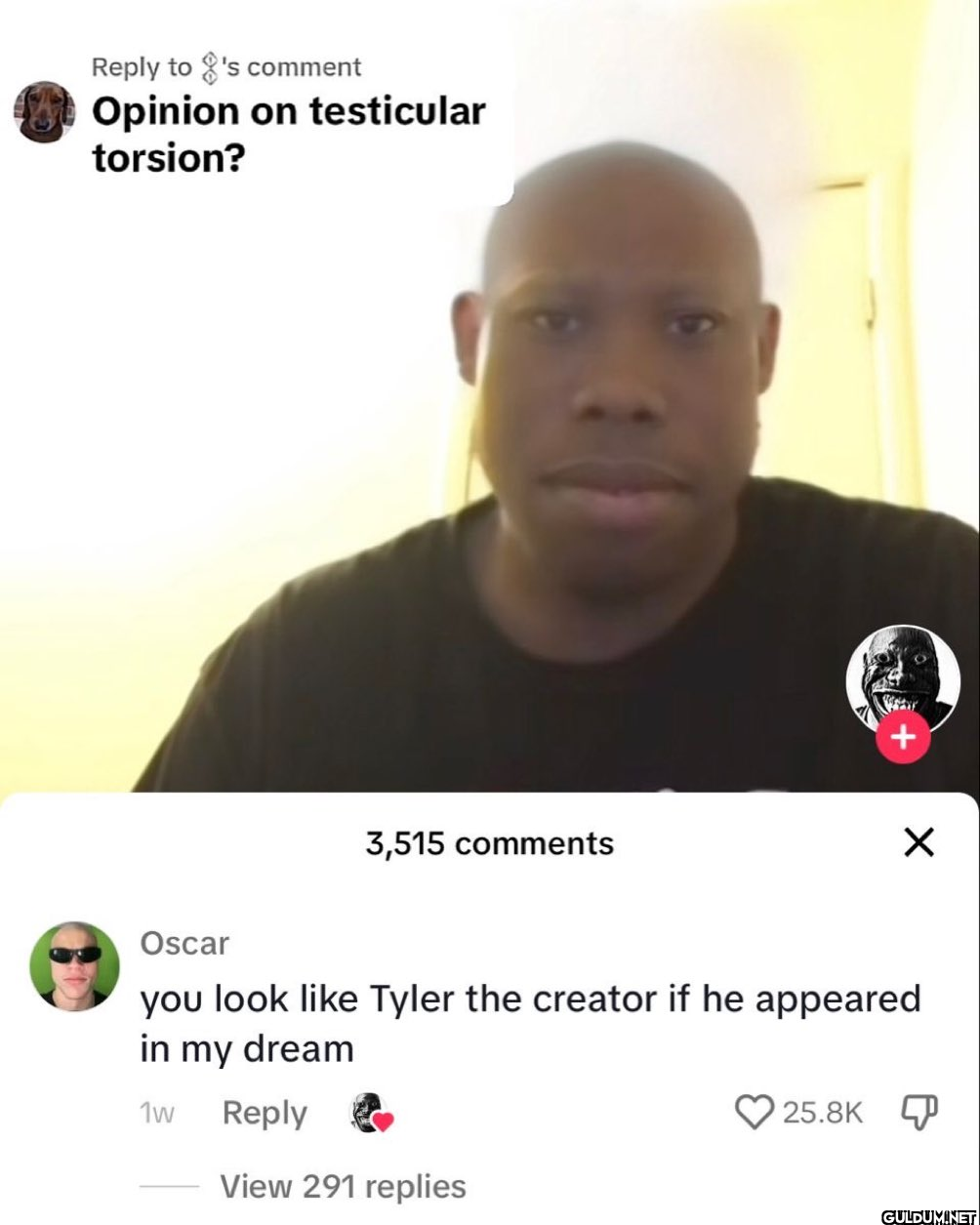 Reply to 's comment...