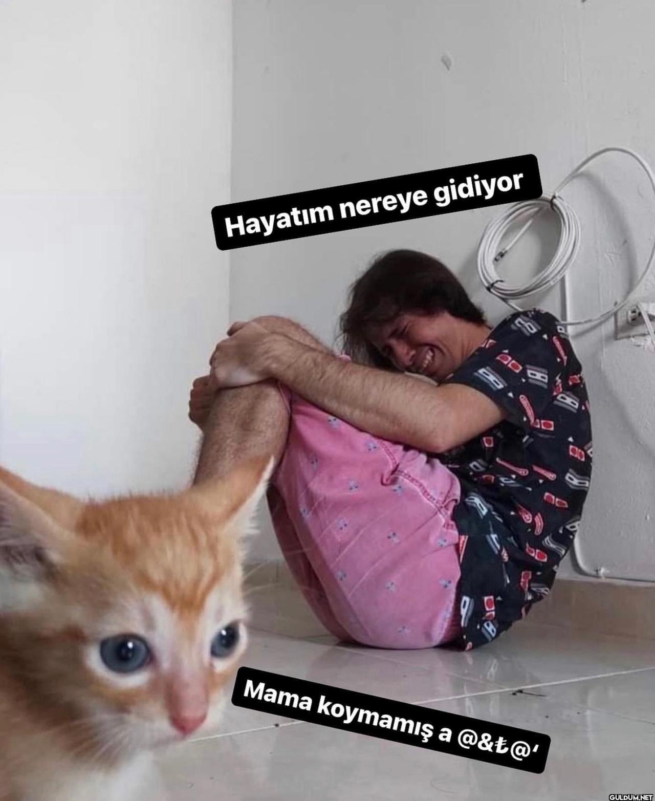 Tatsız Bir Fotoğraf on...