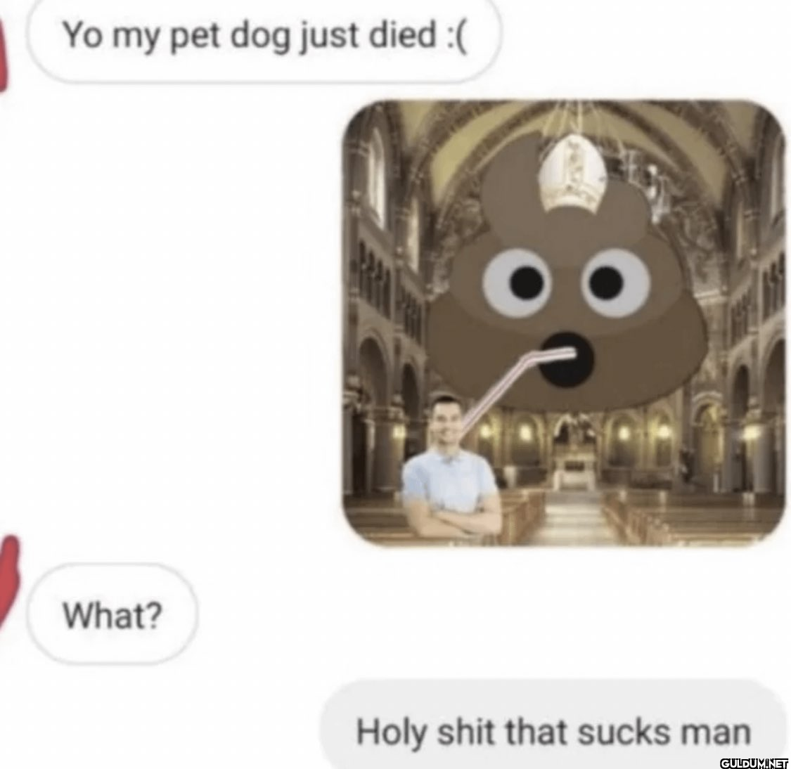Yo my pet dog just died :(...