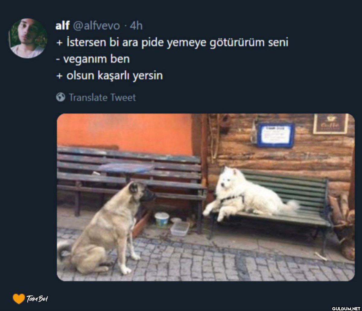 Tam Bet alf @alfvevo - 4h...