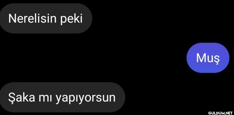 Nerelisin peki Şaka mı...