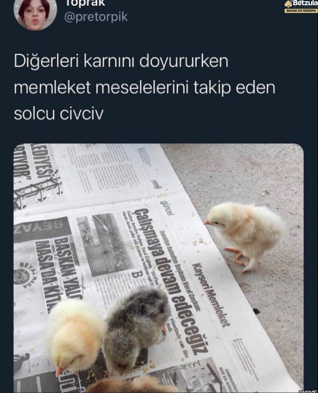 ◆Betzula BEDAVA 100...