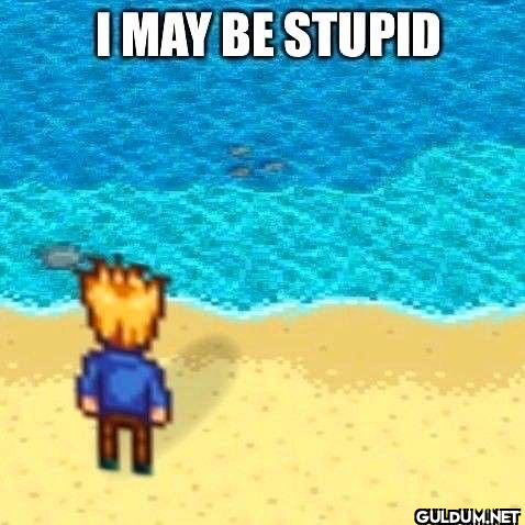 I MAY BE STUPID   Kaynak
