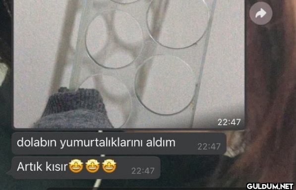 dolabın yumurtalıklarını...
