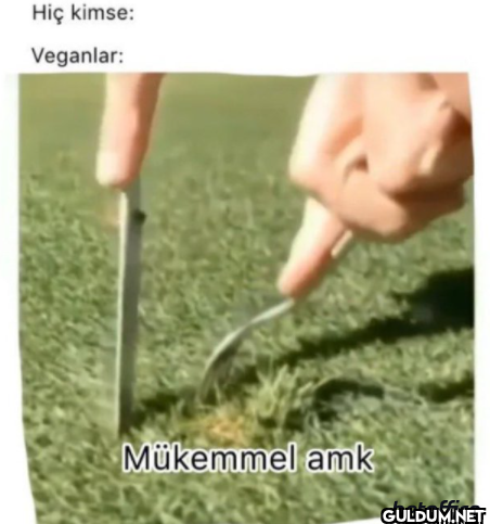 Hiç kimse: Veganlar:...