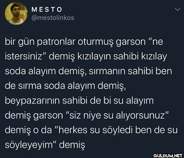 MESTO @mestolinkos > bir...