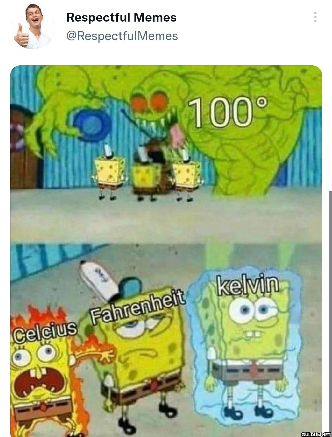 Respectful Memes...