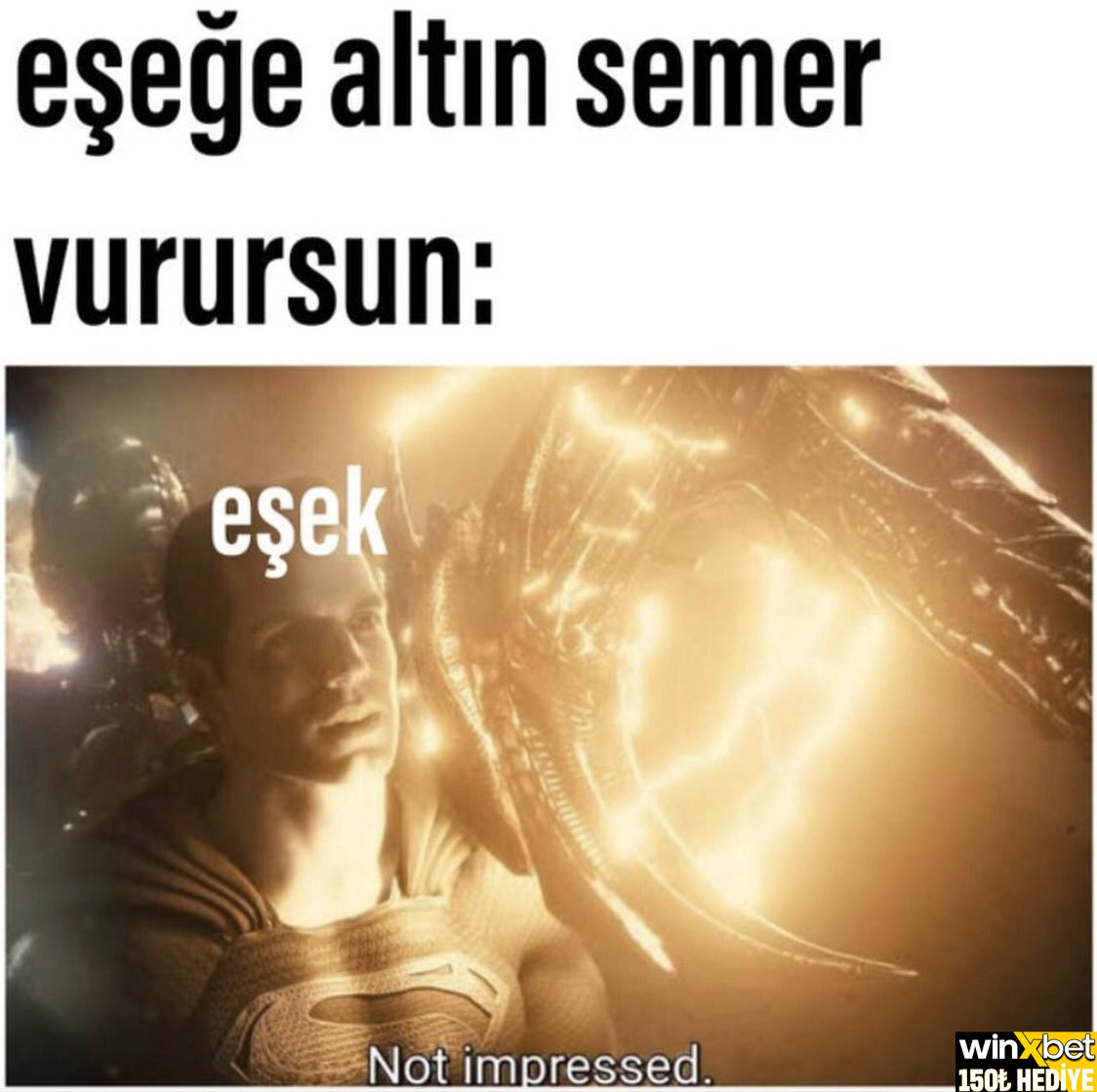 eşeğe altın semer...