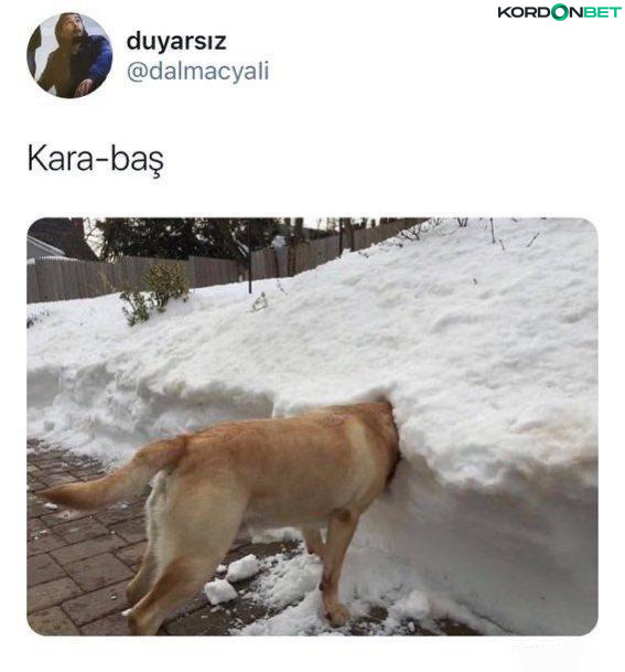 duyarsız @dalmacyali...